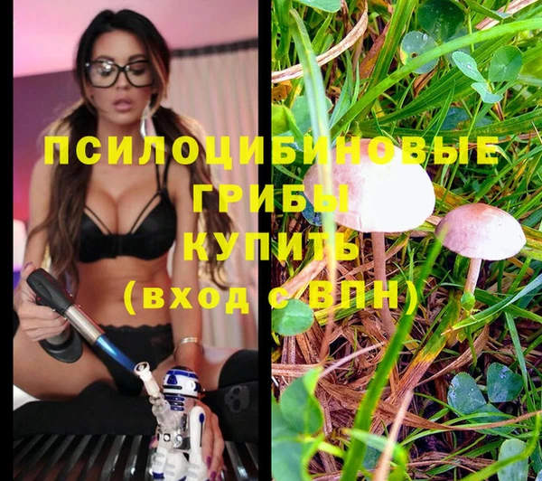 кокаин Арсеньев