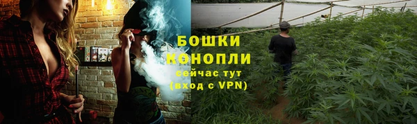 спиды Медногорск