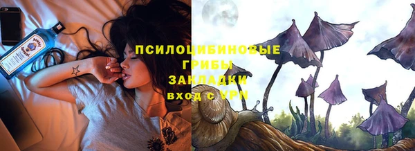 соль ск Аркадак